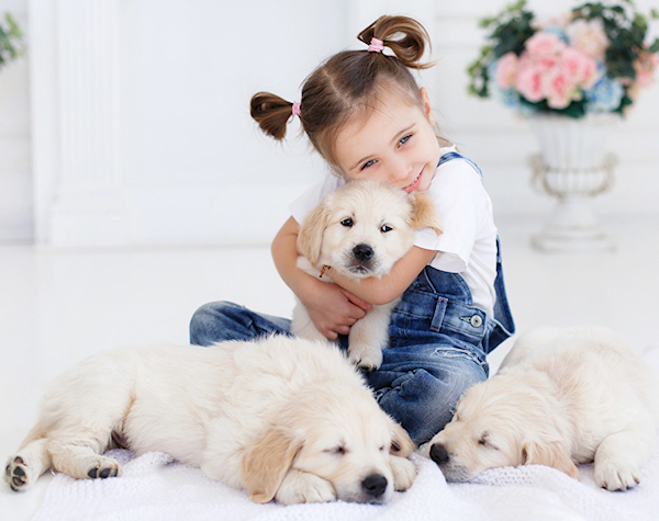 Dogs Dogs